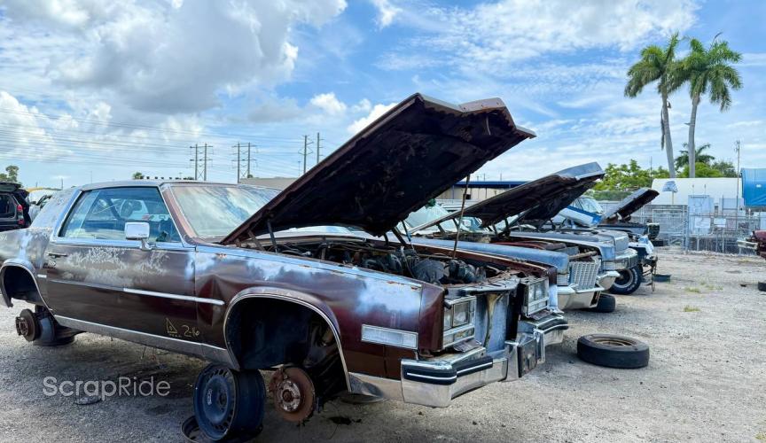 Junk car picture 4