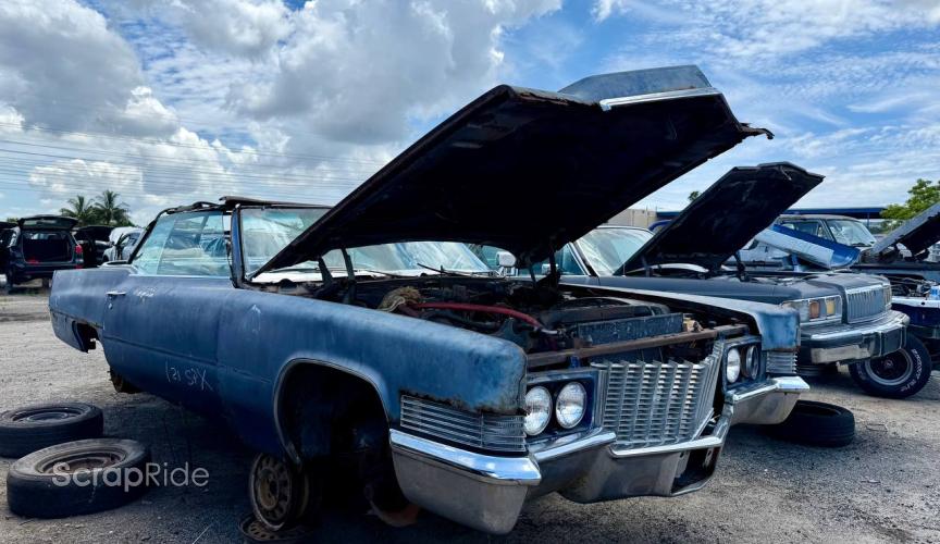 Junk car picture 2