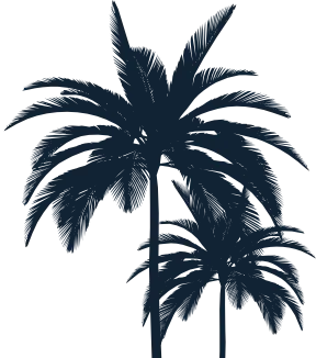 Florida borders for main banner